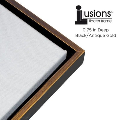 Illusions Canvas Finished Art Floater Frame, 3/4" Deep Canvas For Float Effect   152994633426